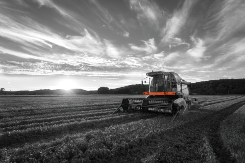 Agriculture
